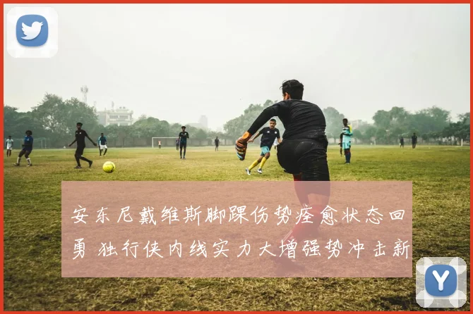 安东尼戴维斯脚踝伤势痊愈状态回勇 独行侠内线实力大增强势冲击新赛季