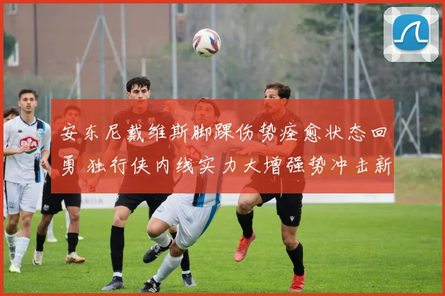 安东尼戴维斯脚踝伤势痊愈状态回勇 独行侠内线实力大增强势冲击新赛季